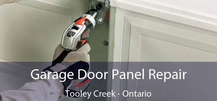 Garage Door Panel Repair Tooley Creek - Ontario