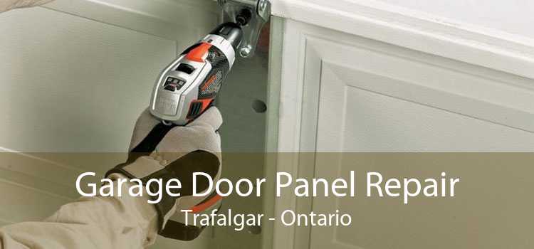 Garage Door Panel Repair Trafalgar - Ontario