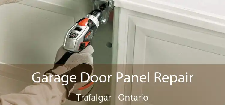 Garage Door Panel Repair Trafalgar - Ontario