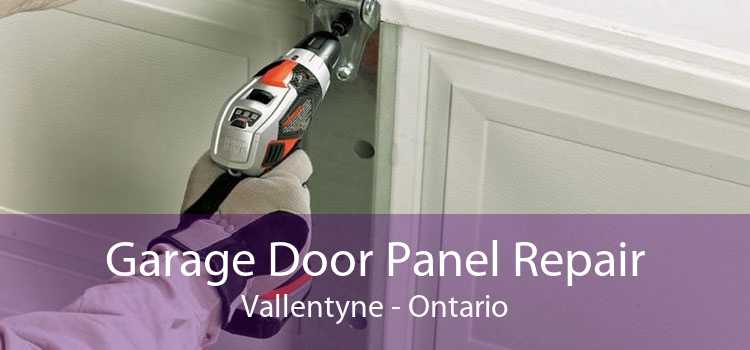 Garage Door Panel Repair Vallentyne - Ontario