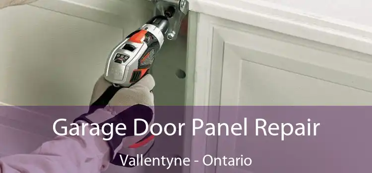 Garage Door Panel Repair Vallentyne - Ontario