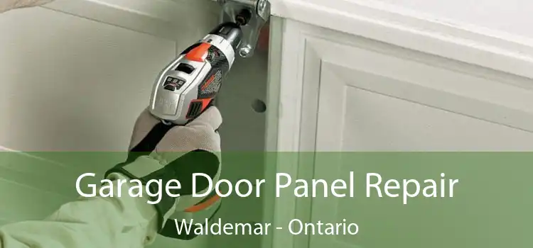 Garage Door Panel Repair Waldemar - Ontario