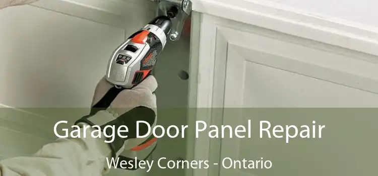 Garage Door Panel Repair Wesley Corners - Ontario