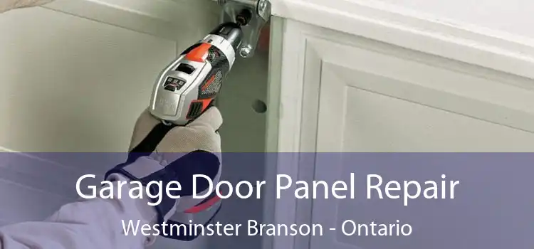 Garage Door Panel Repair Westminster Branson - Ontario