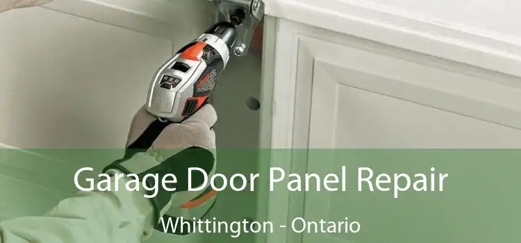Garage Door Panel Repair Whittington - Ontario