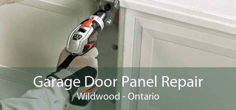 Garage Door Panel Repair Wildwood - Ontario
