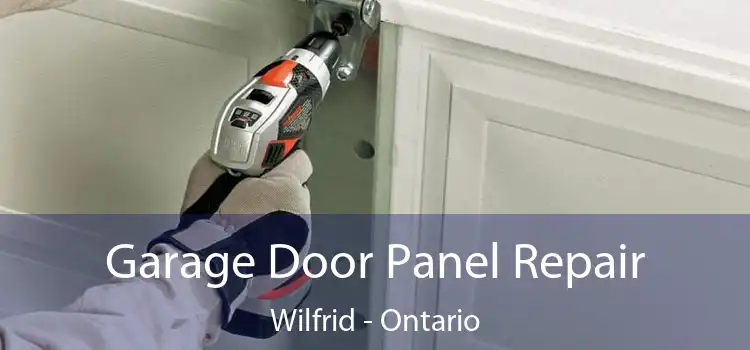 Garage Door Panel Repair Wilfrid - Ontario