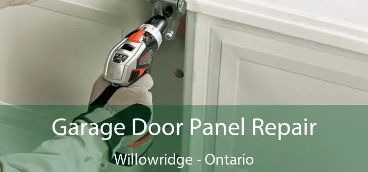 Garage Door Panel Repair Willowridge - Ontario