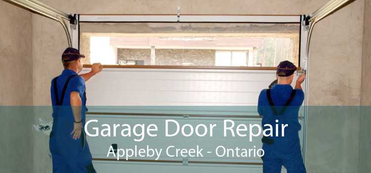 Garage Door Repair Appleby Creek - Ontario