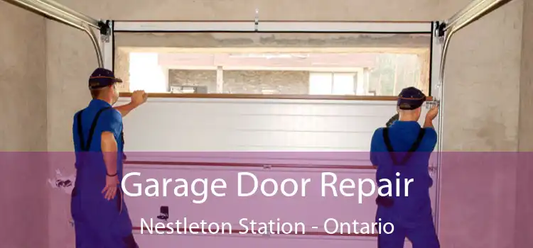 Garage Door Repair Nestleton Station - Ontario