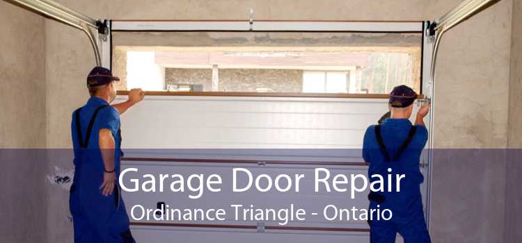 Garage Door Repair Ordinance Triangle - Ontario