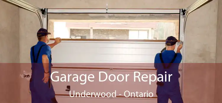 Garage Door Repair Underwood - Ontario