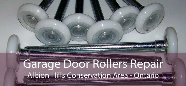 Garage Door Rollers Repair Albion Hills Conservation Area - Ontario