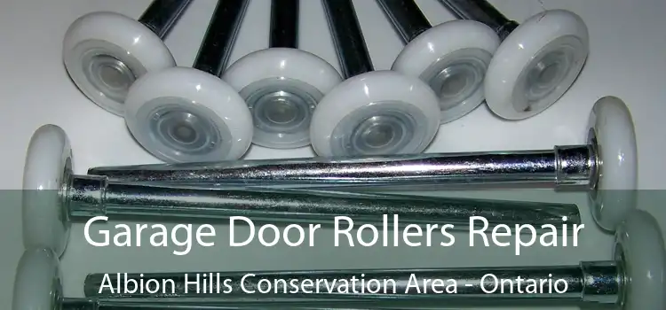 Garage Door Rollers Repair Albion Hills Conservation Area - Ontario