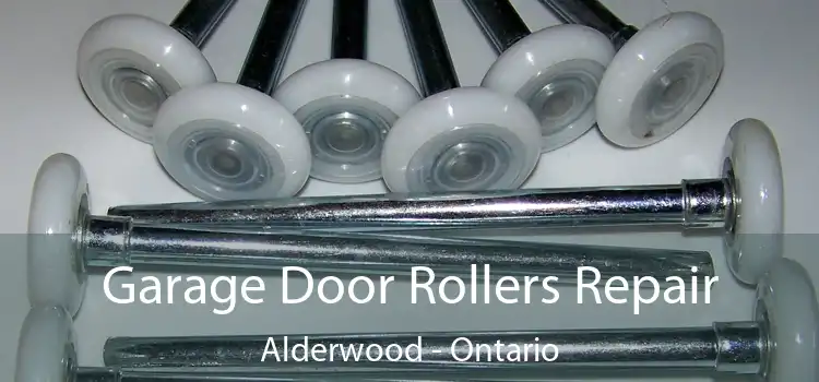 Garage Door Rollers Repair Alderwood - Ontario