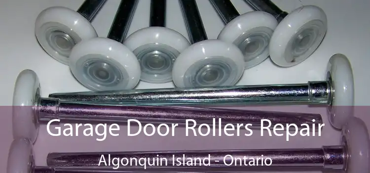 Garage Door Rollers Repair Algonquin Island - Ontario