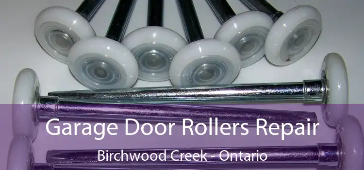Garage Door Rollers Repair Birchwood Creek - Ontario