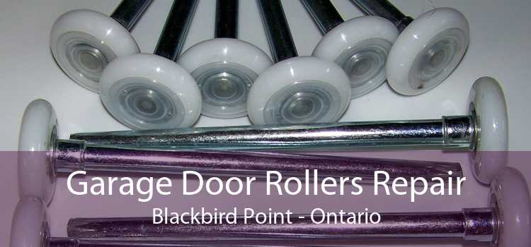 Garage Door Rollers Repair Blackbird Point - Ontario