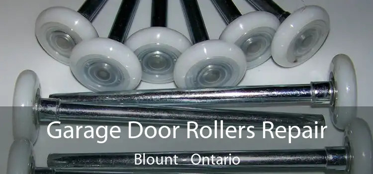 Garage Door Rollers Repair Blount - Ontario