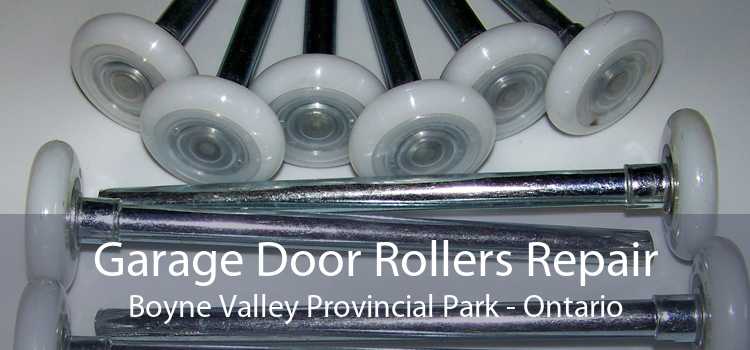 Garage Door Rollers Repair Boyne Valley Provincial Park - Ontario
