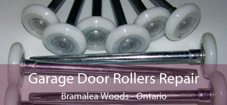 Garage Door Rollers Repair Bramalea Woods - Ontario