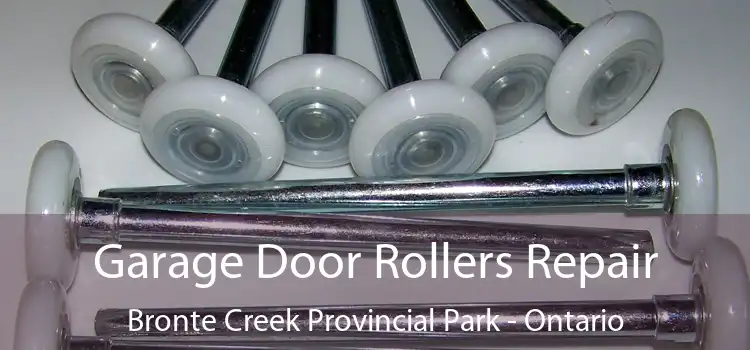 Garage Door Rollers Repair Bronte Creek Provincial Park - Ontario