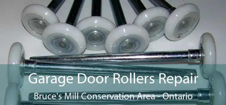 Garage Door Rollers Repair Bruce's Mill Conservation Area - Ontario