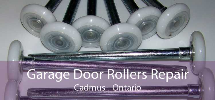 Garage Door Rollers Repair Cadmus - Ontario