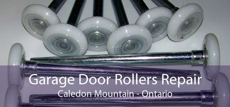 Garage Door Rollers Repair Caledon Mountain - Ontario