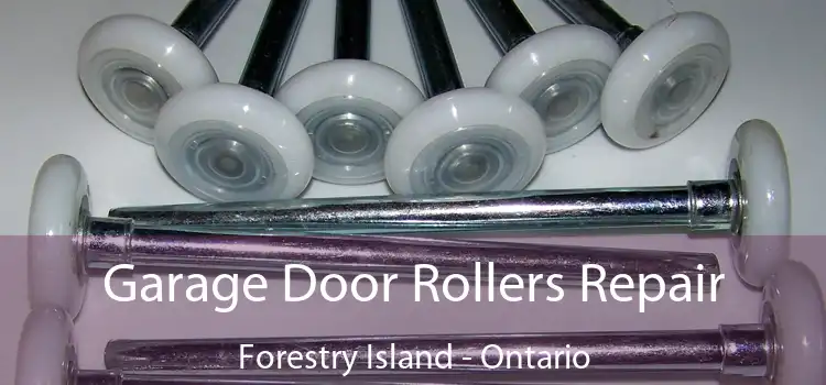Garage Door Rollers Repair Forestry Island - Ontario