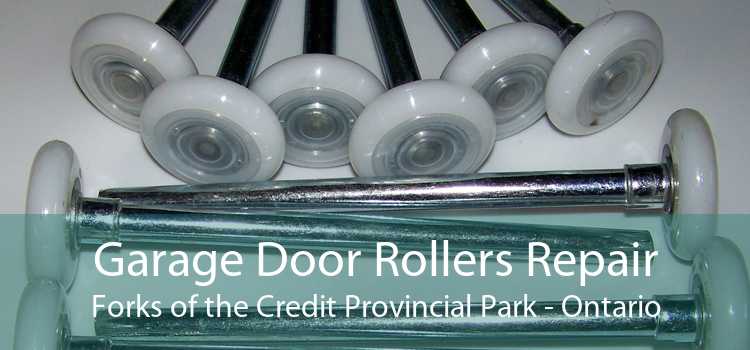 Garage Door Rollers Repair Forks of the Credit Provincial Park - Ontario