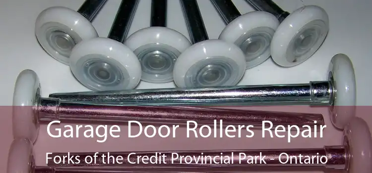 Garage Door Rollers Repair Forks of the Credit Provincial Park - Ontario