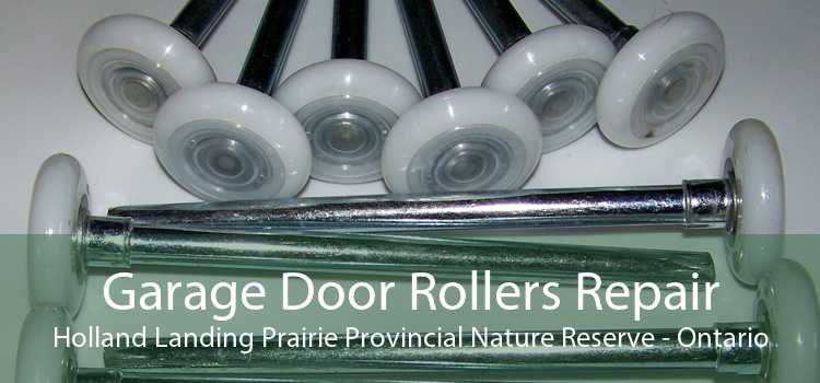 Garage Door Rollers Repair Holland Landing Prairie Provincial Nature Reserve - Ontario