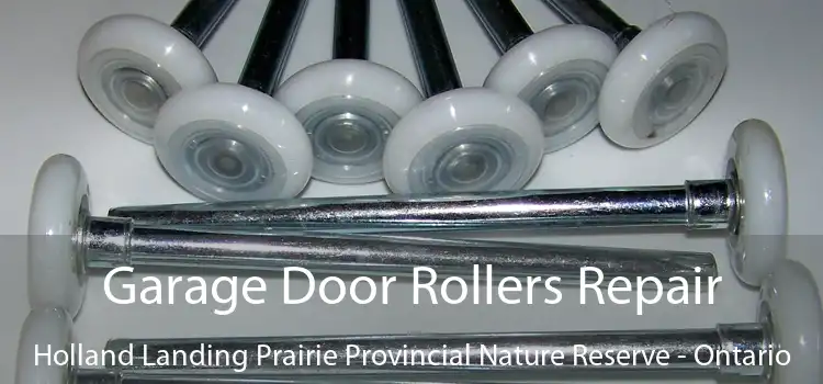 Garage Door Rollers Repair Holland Landing Prairie Provincial Nature Reserve - Ontario