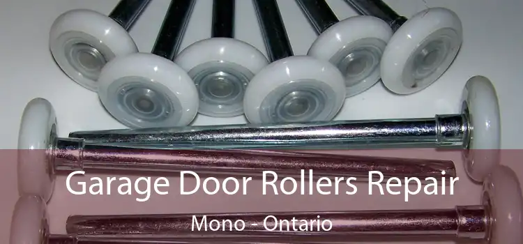 Garage Door Rollers Repair Mono - Ontario