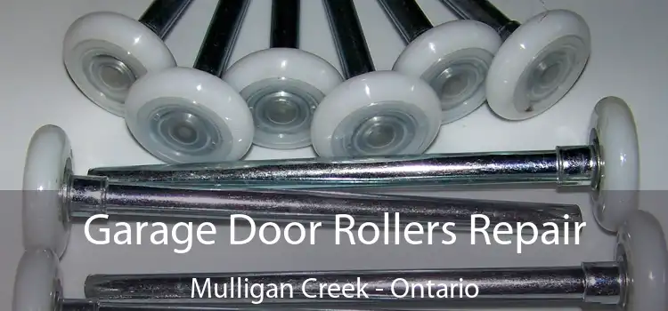 Garage Door Rollers Repair Mulligan Creek - Ontario