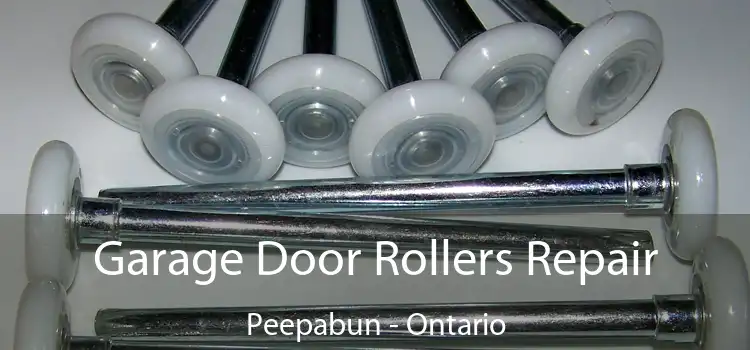 Garage Door Rollers Repair Peepabun - Ontario