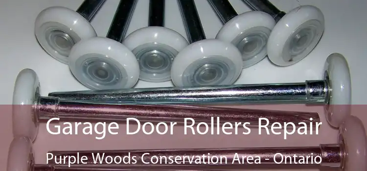 Garage Door Rollers Repair Purple Woods Conservation Area - Ontario