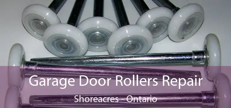 Garage Door Rollers Repair Shoreacres - Ontario
