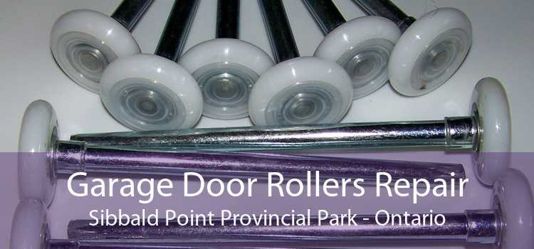 Garage Door Rollers Repair Sibbald Point Provincial Park - Ontario