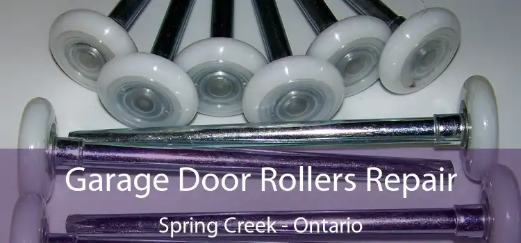 Garage Door Rollers Repair Spring Creek - Ontario