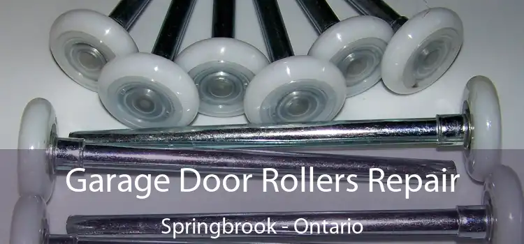 Garage Door Rollers Repair Springbrook - Ontario
