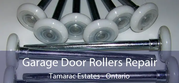 Garage Door Rollers Repair Tamarac Estates - Ontario