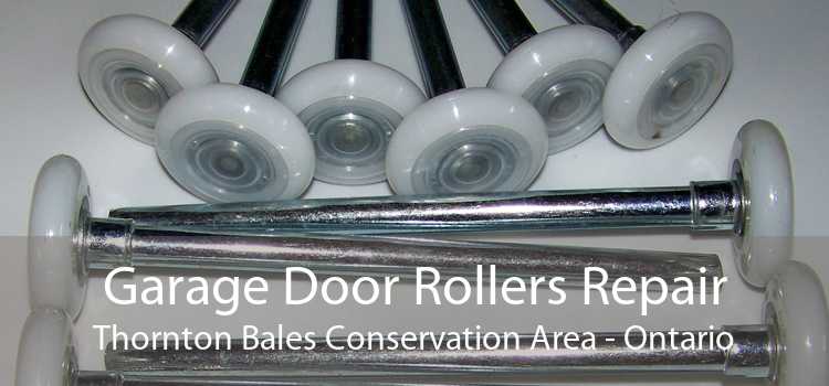 Garage Door Rollers Repair Thornton Bales Conservation Area - Ontario