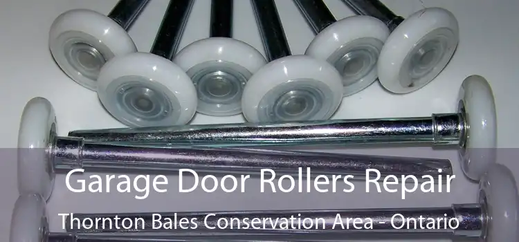 Garage Door Rollers Repair Thornton Bales Conservation Area - Ontario