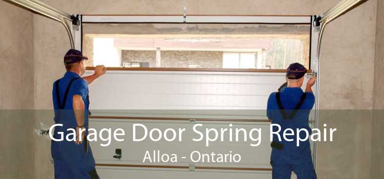 Garage Door Spring Repair Alloa - Ontario