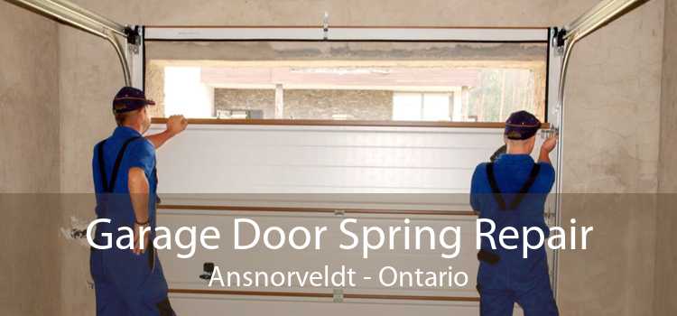 Garage Door Spring Repair Ansnorveldt - Ontario