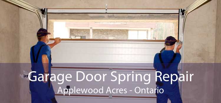 Garage Door Spring Repair Applewood Acres - Ontario