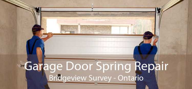 Garage Door Spring Repair Bridgeview Survey - Ontario