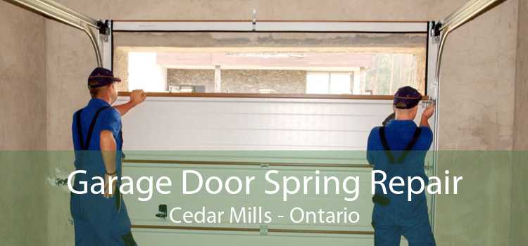Garage Door Spring Repair Cedar Mills - Ontario